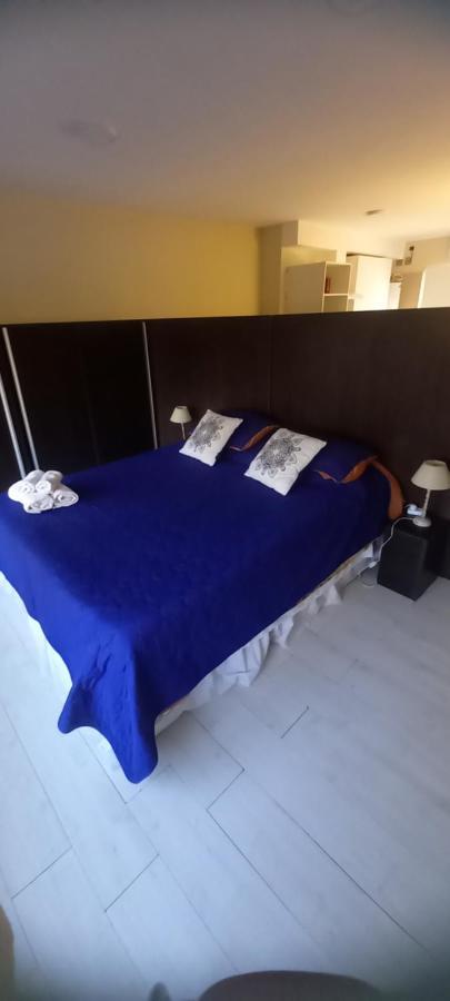 Confortable Y Amplio Loft Mendoza Luaran gambar